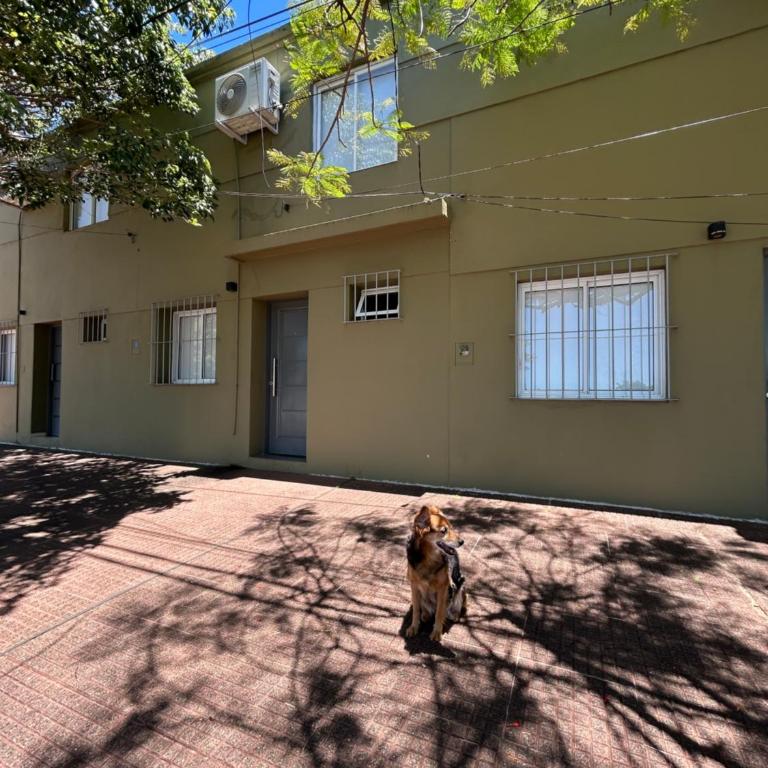 Loft Costanera - Apartamento de 1 dormitorio - 8