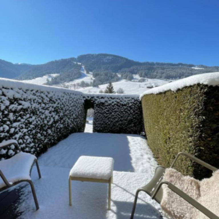 Studio charmant avec terrasse et jardin - Studio - 1