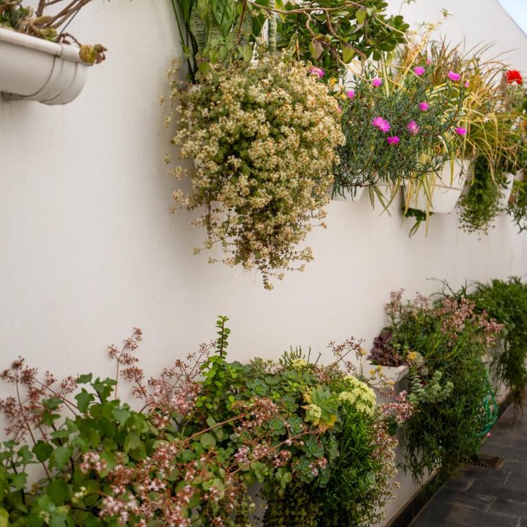 Dos Patios - Luz, tranquilidad y verde - Apartamento con vistas al jardín - 24