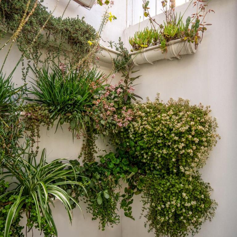 Dos Patios - Luz, tranquilidad y verde - Apartamento con vistas al jardín - 22