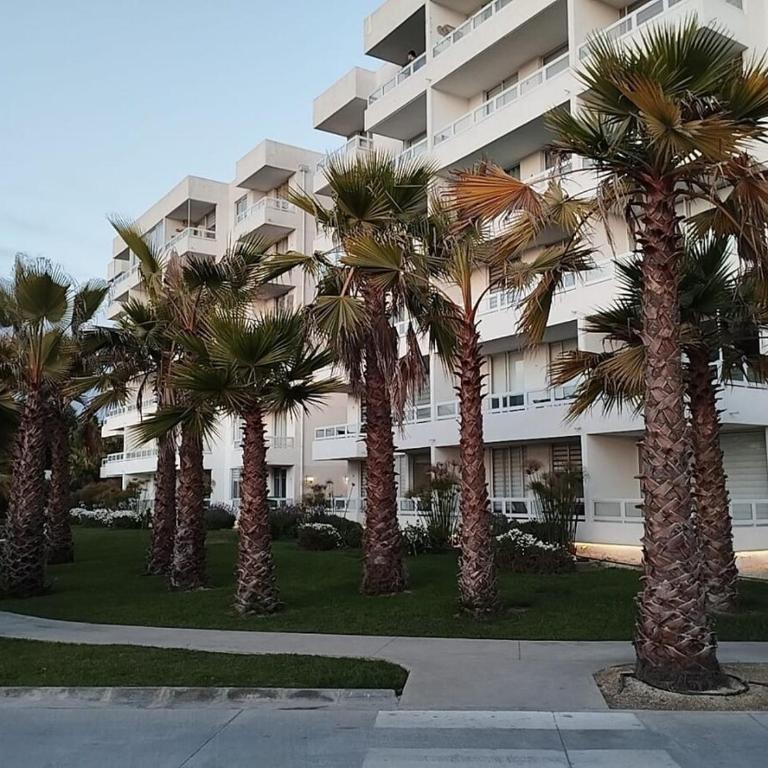 Depto 2 Dorm 1 Baño Distrito Verde La Serena - Two-Room Apartment - 4