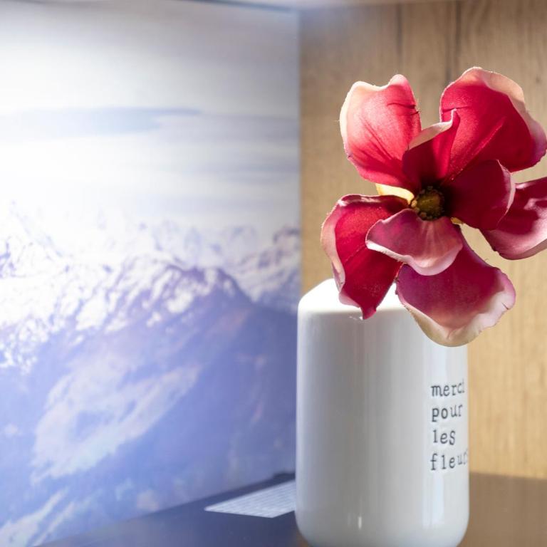 Murleben Appartements - Nahe Red Bull Ring & Kreischberg - Appartement 1 Chambre Deluxe - 23