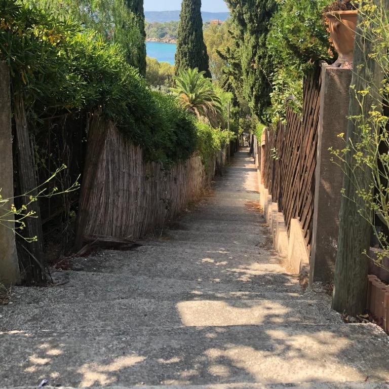 Villa Piccolina Aiguebelle Lavandou face aux îles - Villa - 5