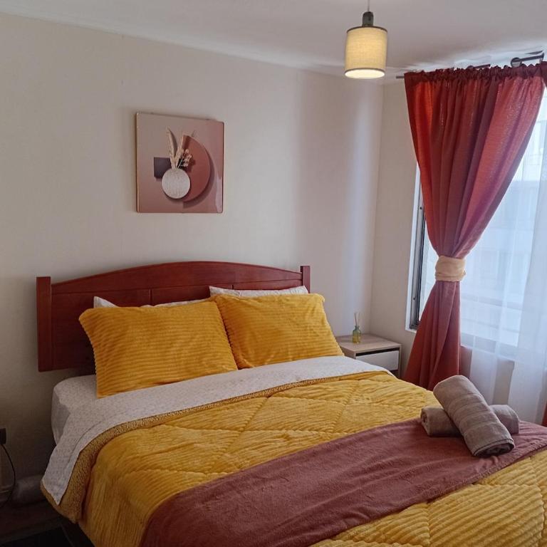 Central y Economico - One-Bedroom Apartment - 14