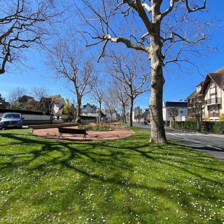 Studio lumineux Cabourg plage & commerces à pied - Appartamento - 7