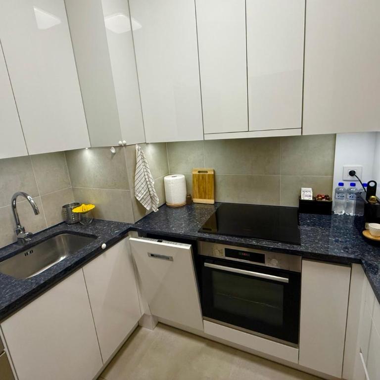 Belgrade Forest Gate near center - One-Bedroom Apartment - 12