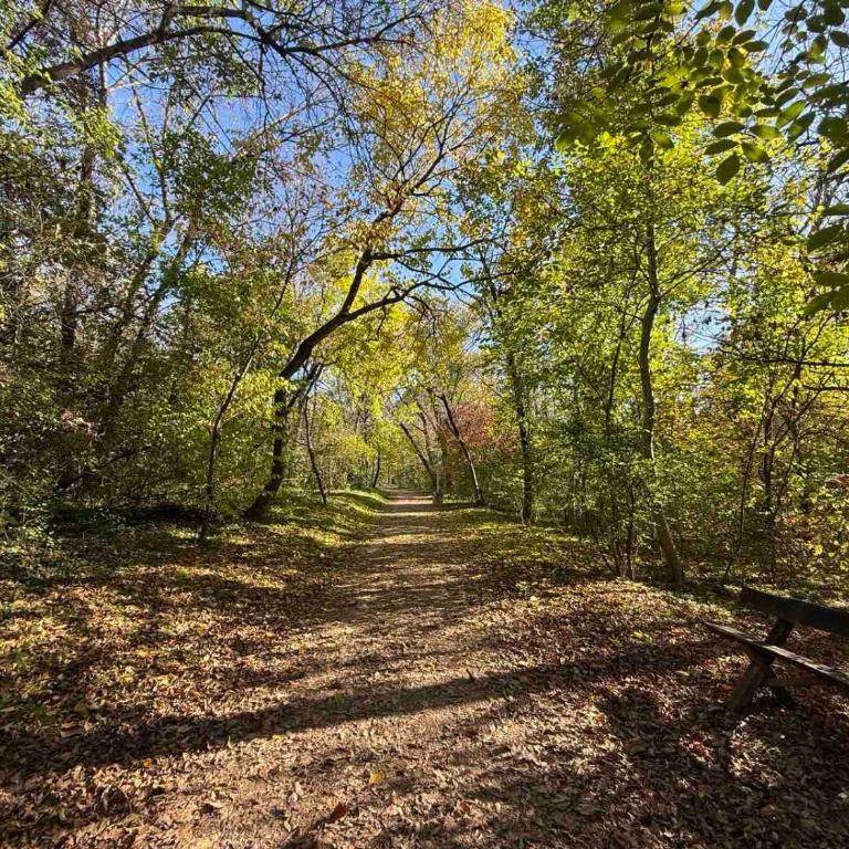Belgrade Forest Gate near center - One-Bedroom Apartment - 20