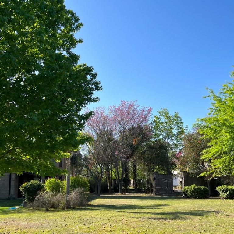 Los Robles 2 - Two-Bedroom Apartment - 11