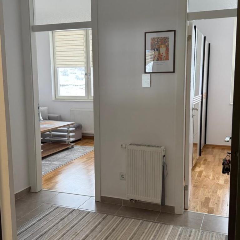 APARTMAN Zuca - Apartman sa 1 Spavaćom Sobom - 7