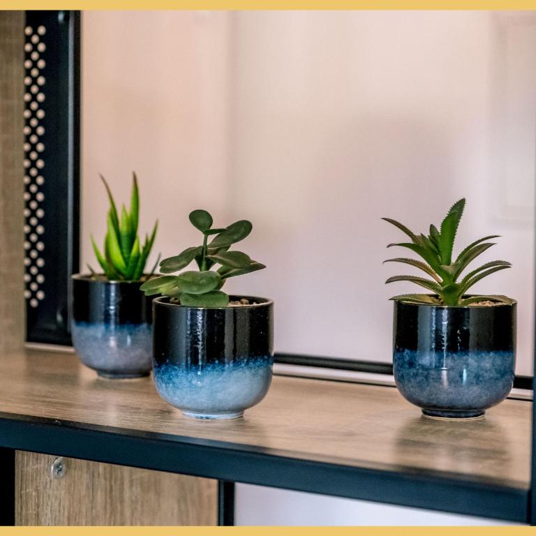 Chez Pierre I Studio I Thonon-les-Bains - Appartamento Monolocale - 26