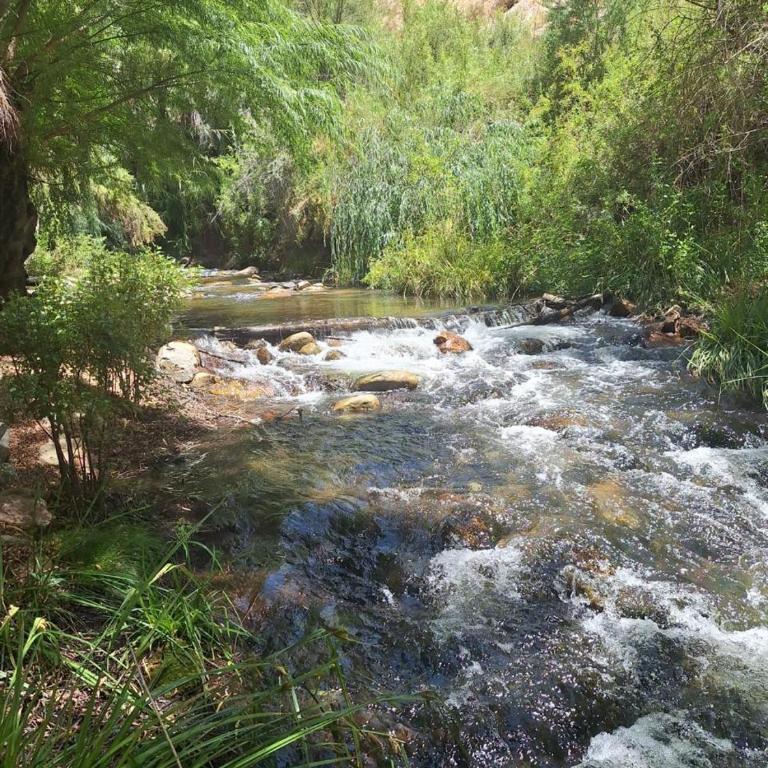 Valle de Elqui Cabañas Elquisco - One-Bedroom Apartment with River View - 2