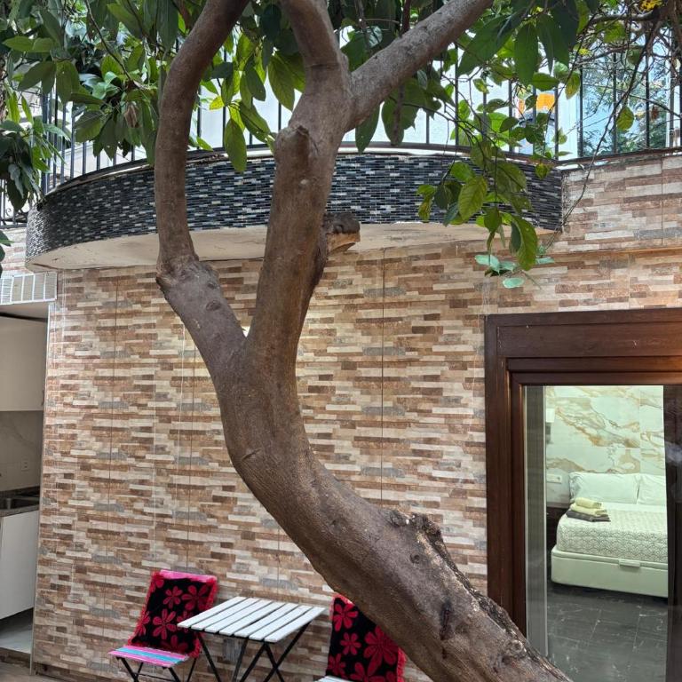 Boutique Princesa - Estudio con terraza - 8