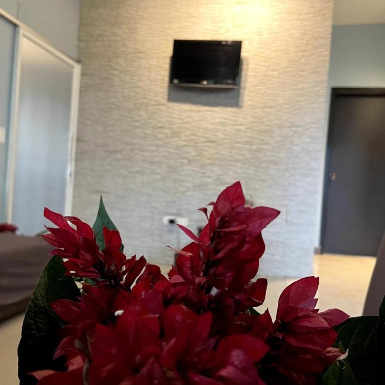 Departamento Grande para Familias y Grupos - Four-Bedroom House - 6