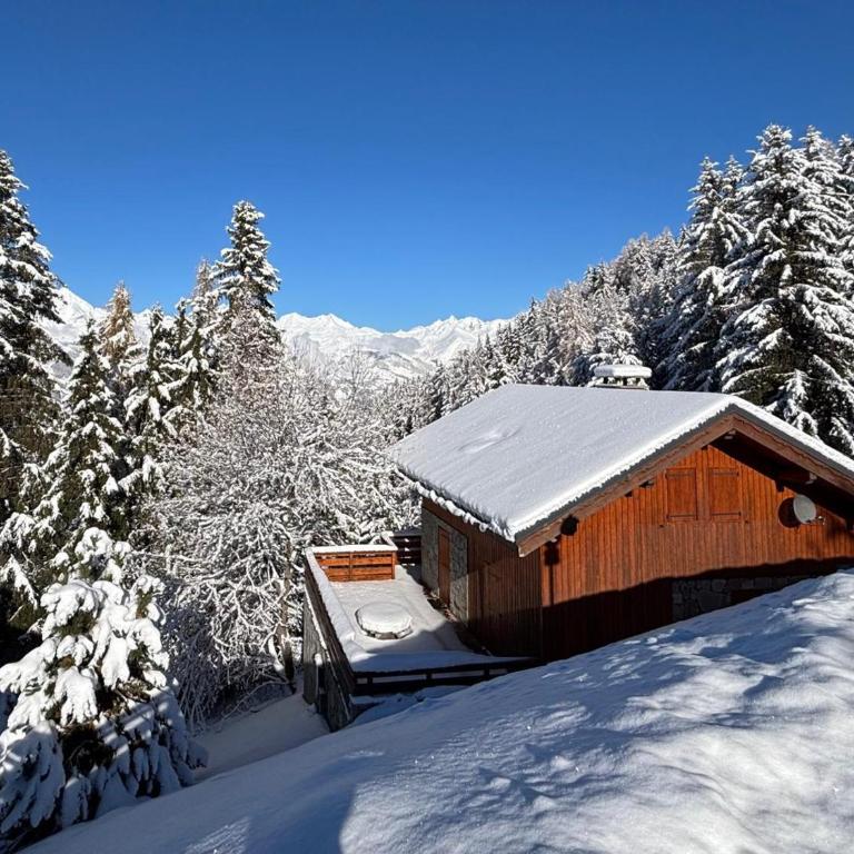 Chalet 5 pièces Vallandry, 12 pers, animaux admis, parking, WiFi - FR-1-411-545 - Chalet con 3 Camere da Letto - 1