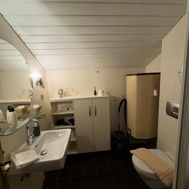 Haus Karin Mallnitz - Apartment mit 1 Schlafzimmer, Balkon und Bergblick - 21