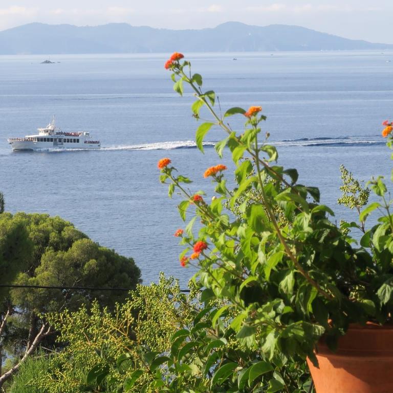 Villa Piccolina Aiguebelle Lavandou face aux îles - Villa - 9