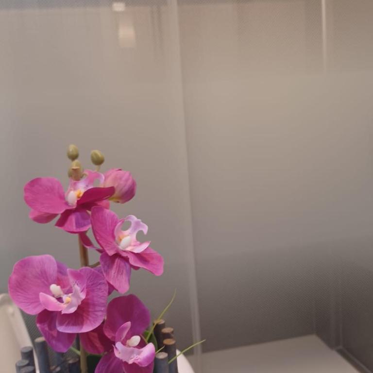 APARTAMENTO BERNIER - Apartamento de 1 dormitorio - 35