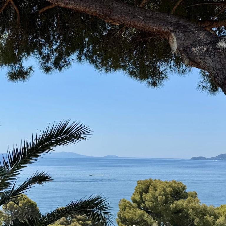 Villa Piccolina Aiguebelle Lavandou face aux îles - Villa - 2