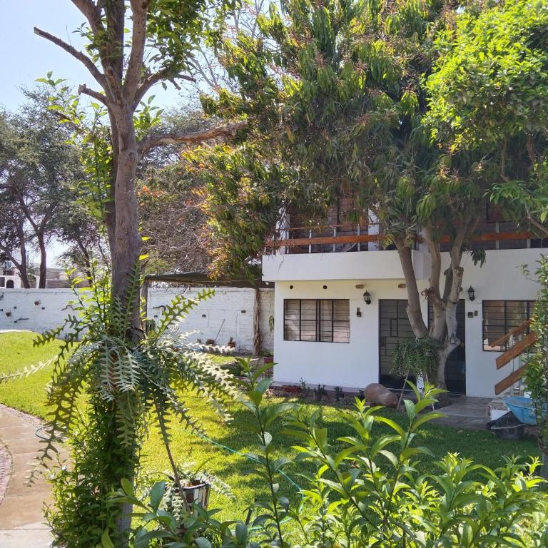 Doña Carmen - Double or Twin Room with Garden View - 4