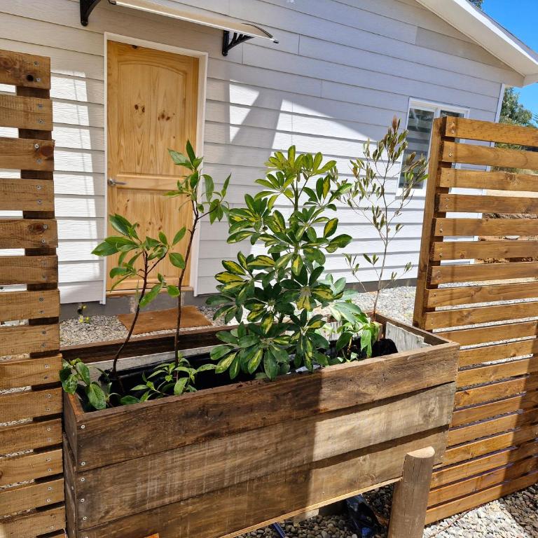 Entre Quebradas y Loicas - Casa con 1 dormitorio - 4