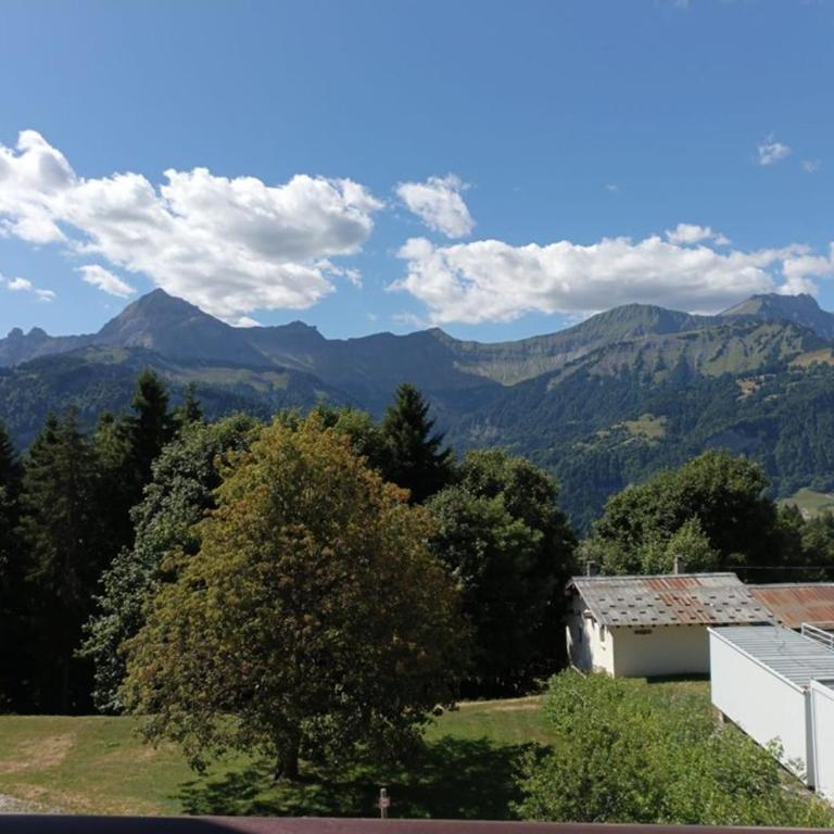 Appartement 4 pers, proche pistes et commerces, Crest-Voland - Apartment mit 2 Schlafzimmern - 20
