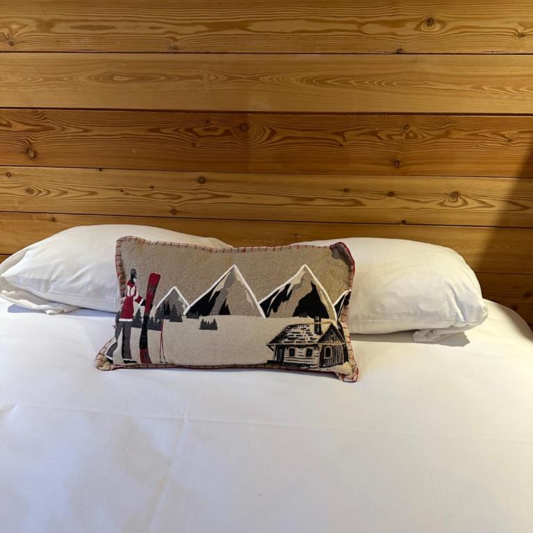 Superbe appartement rénové aux pieds des pistes - Appartamento con 3 Camere da Letto - 21