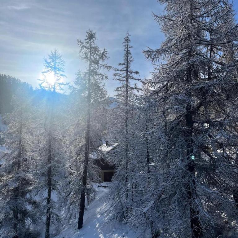 Les Lofts de Vars - maeva home - Appartement vue montagne 2 pièces 4 personnes - Sélection MAE-1283 - Apartamento - 12
