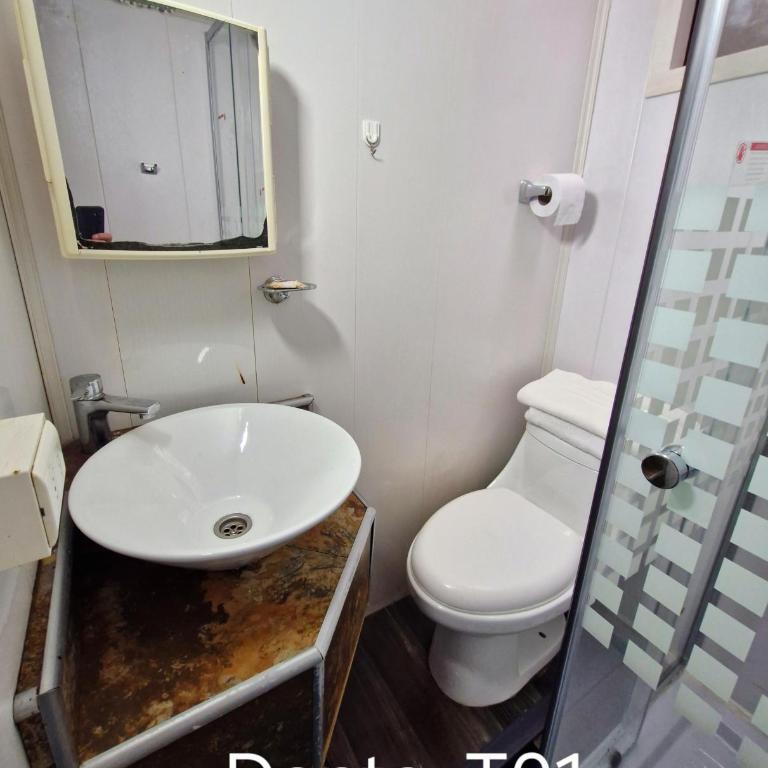 Wildepartamentos Valdivia ER - Apartamento de 1 dormitorio - 7