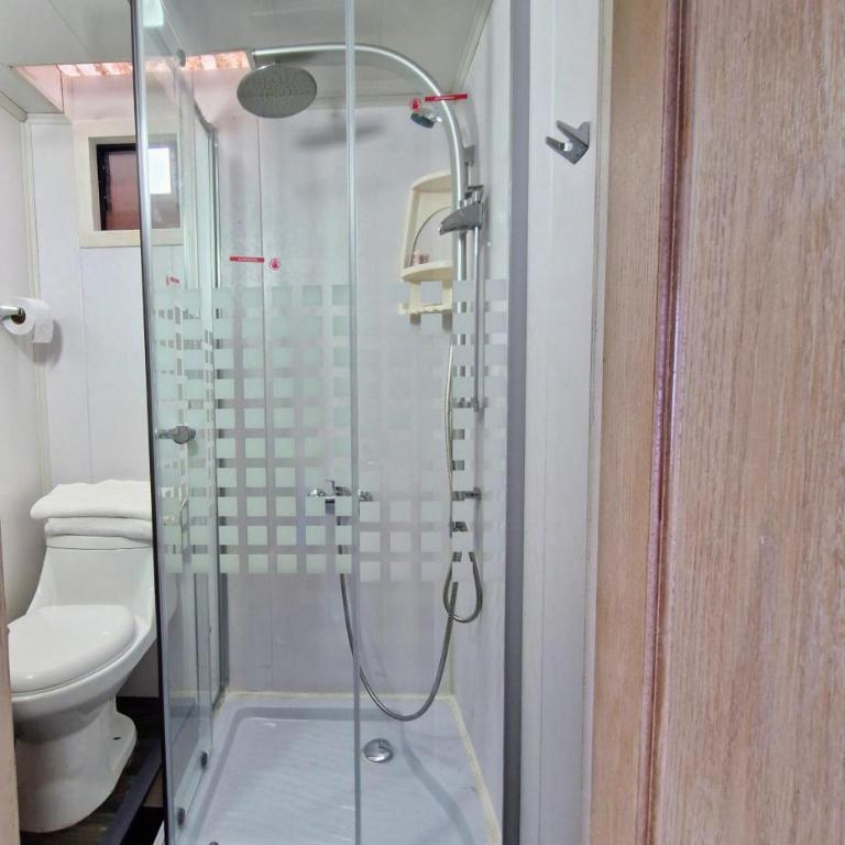 Wildepartamentos Valdivia ER - Apartamento de 1 dormitorio - 6
