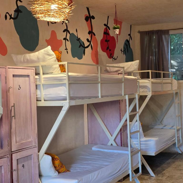 VALLADOLID 48 Hotel & Hostal - Single female Bed in 6-Bed Dormitory Room - 1