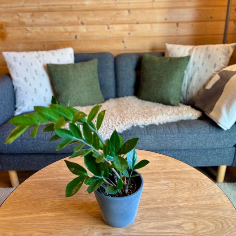 Landhaus Barbara - One-Bedroom Apartment with Shower - 2