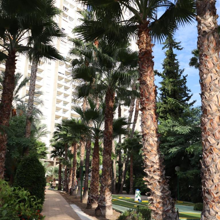 Apartamento Torre 3 Gemelos 22 Benidorm Levante Beach - Two-Bedroom Apartment with Balcony - 5