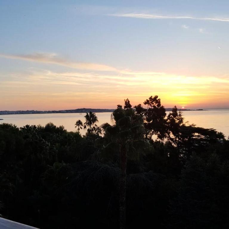 Résidence Côte D’azur, Vue Mer, Tennis, Plage - Côte d’Azur, Vue Mer, Tennis, Plage MAE-1743 - Appartement - 37