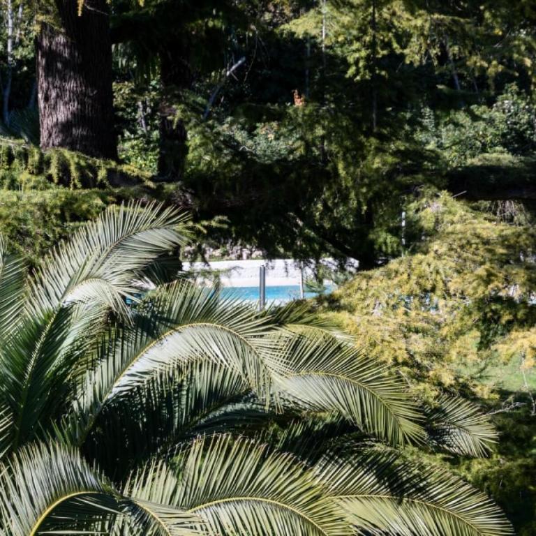 Résidence Spacieux 3p En Résidence Avec Piscine - Spacieux 3P en Résidence avec Piscine MAE-3033 - Appartement - 52