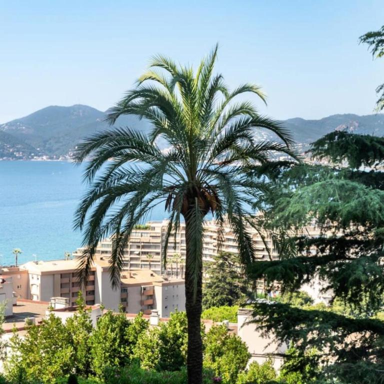Résidence 3p Vue Mer, Piscine – Cannes Croix Des Gardes - 3P Vue Mer, Piscine – Cannes Croix des Gardes MAE-3273 - Appartement - 29