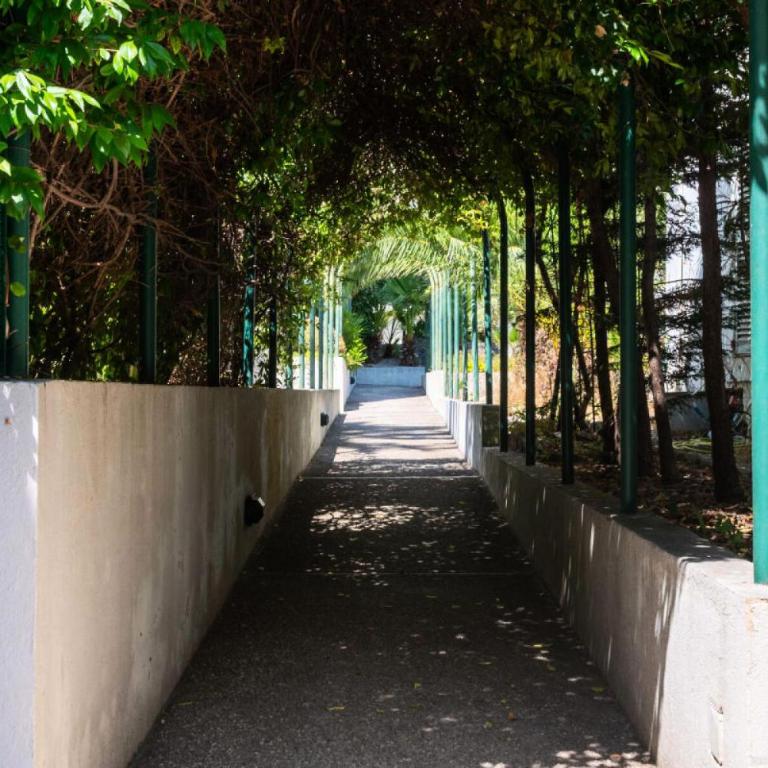 Résidence 2p Rez-de-jardin Avec Piscine – Calme, Parking Privé - 2P Rez-de-jardin avec piscine – Calme, Parking privé MAE-2133 - Appartement - 34