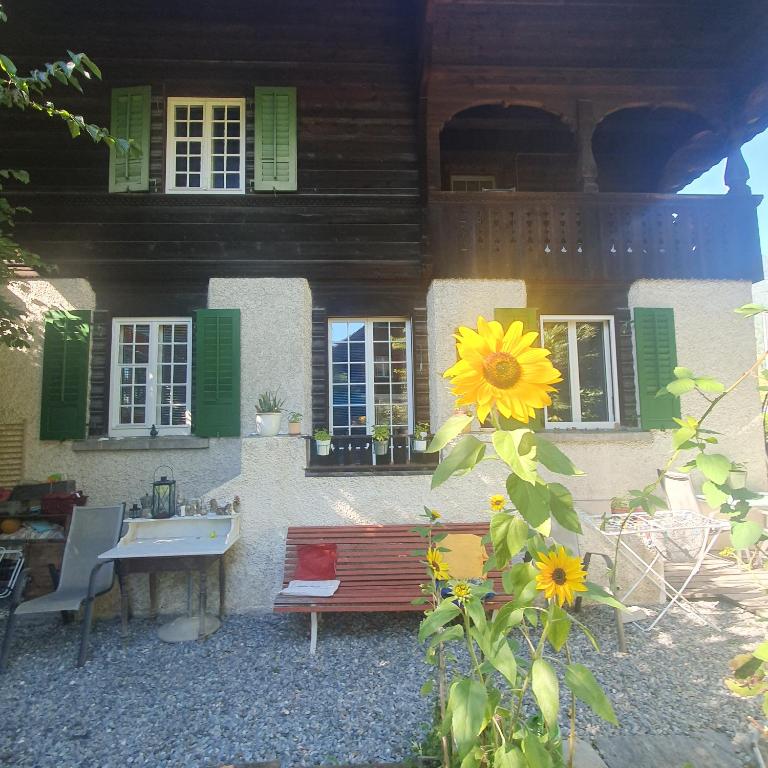 Zentral gelegene Wohnung mit grossem Garten - Apartment mit 2 Schlafzimmern - 17