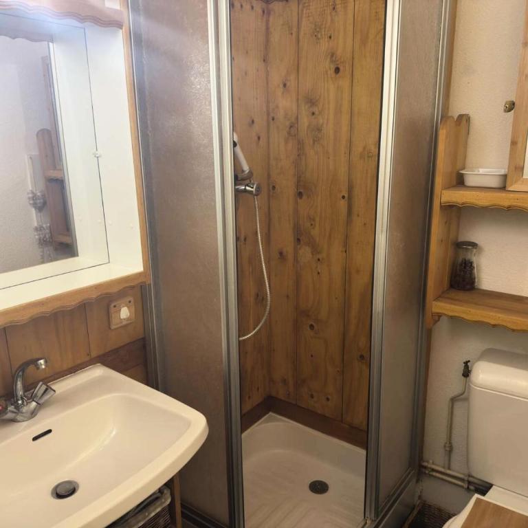 Résidence Camarine - La Camarine 51 - Joli studio, ski aux pieds MAE-4873 - Estudio - 4