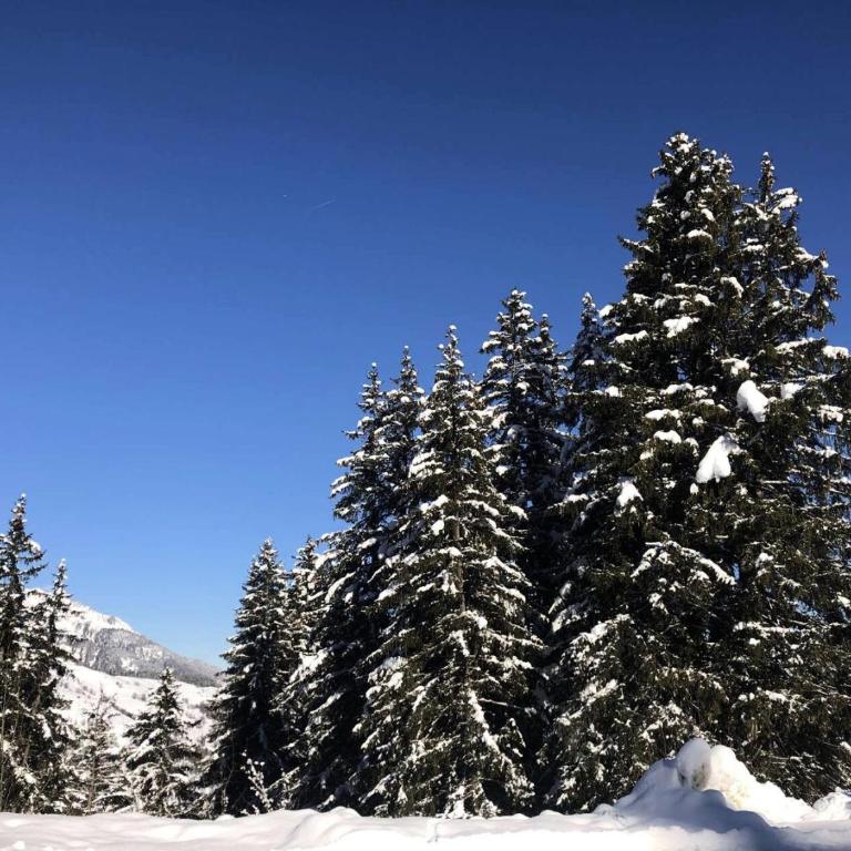 Résidence Lisiere - La Lisière 8 - Agréable 2 pièces dans son écrin de verdure MAE-7273 - Apartamento - 12