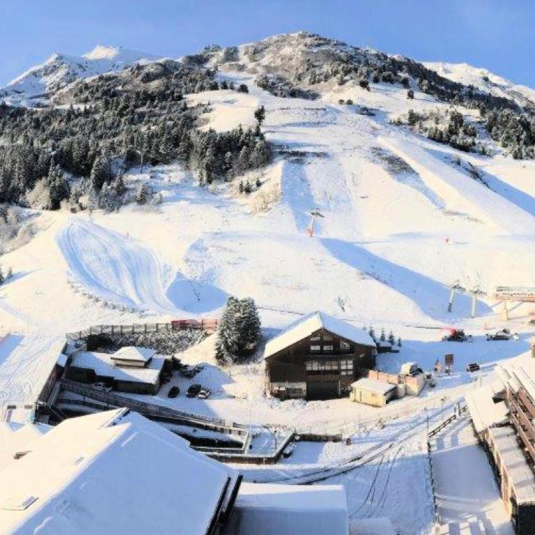 Résidence Pralin - 2 PIECES CABINE DUPLEX SUR LES PISTES - PROCHES DES COMMERCES MAE-9374 - Appartement - 10