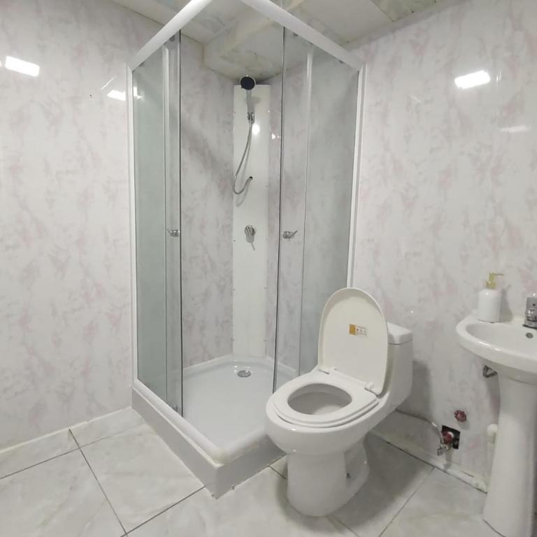 Departamentos Turisticos Osorno Alquiler - Apartamento - 9