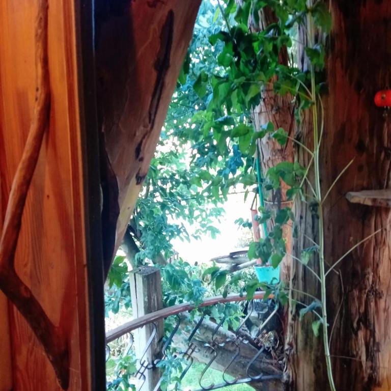 Cabaña en el arbol La Calera - Double Room with Park View - 26