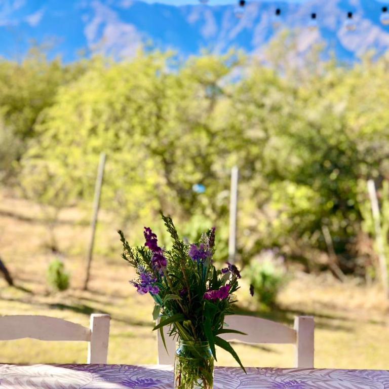 Glamping Traslasierra Carpa Sur - Tent - 5