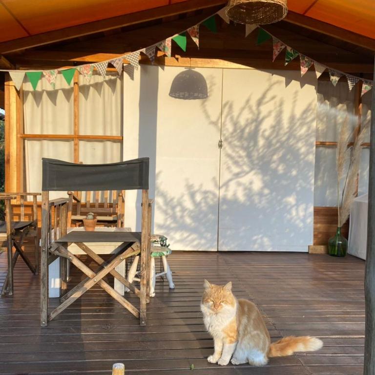 Glamping Traslasierra Carpa Sur - Tent - 17