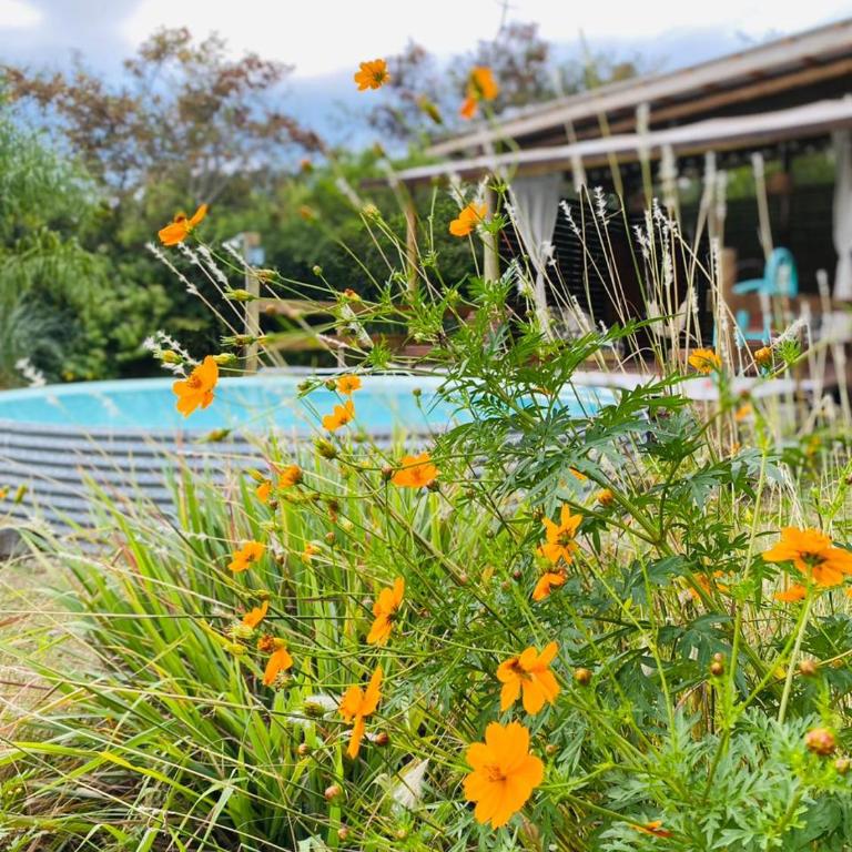 Glamping Traslasierra Carpa Sur - Tent - 19