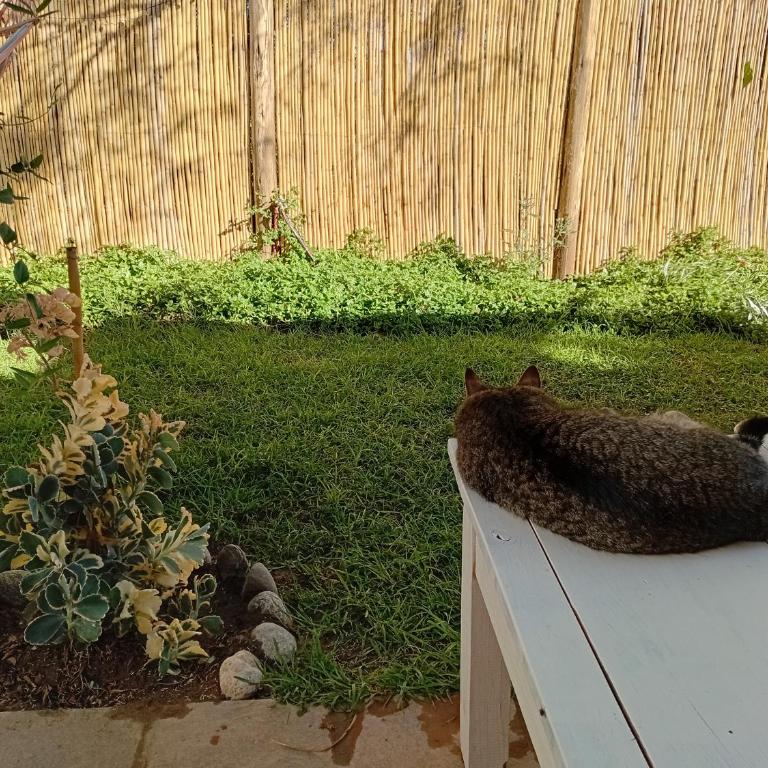 La Arenosa 1 - Apartamento de 1 dormitorio - 6