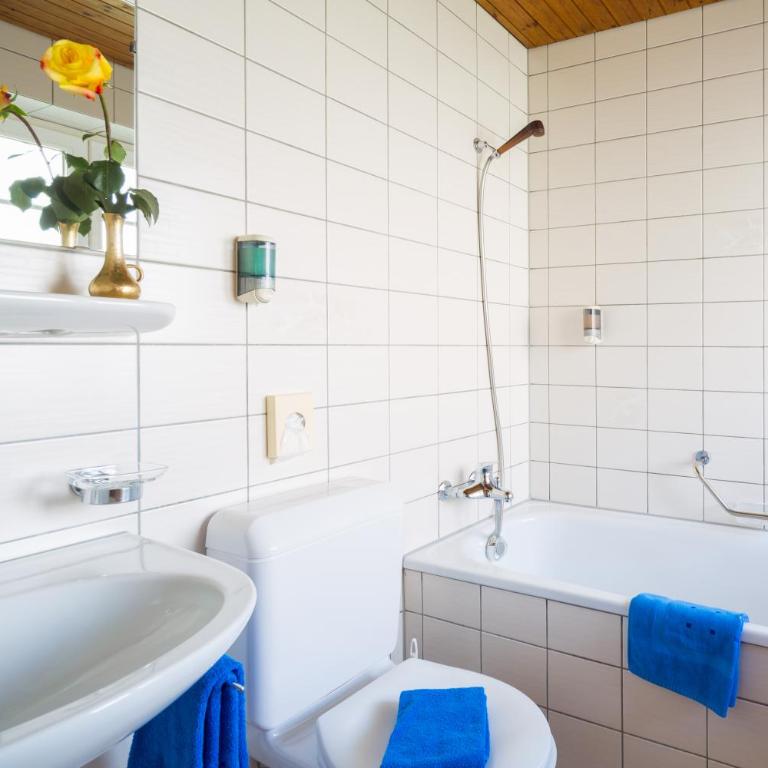 Hotel Alpina - Budget Doppelzimmer mit Balkon und Blick auf das Dorf - 2
