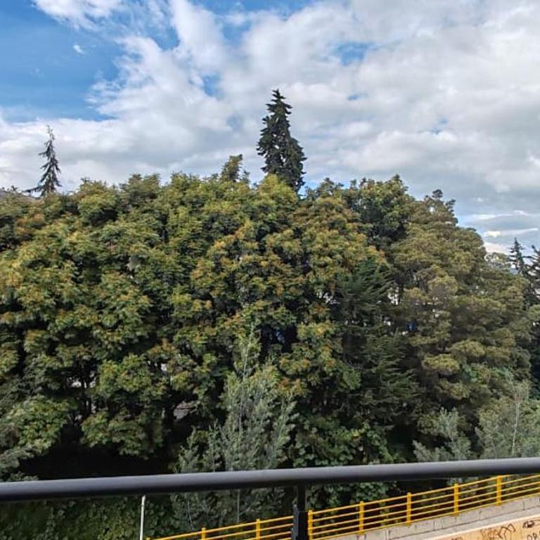 Apartamento en Las Quintas Cerca de Centros Comerciales, WiFi y Parqueadero - Apartamento de 3 dormitorios - 32