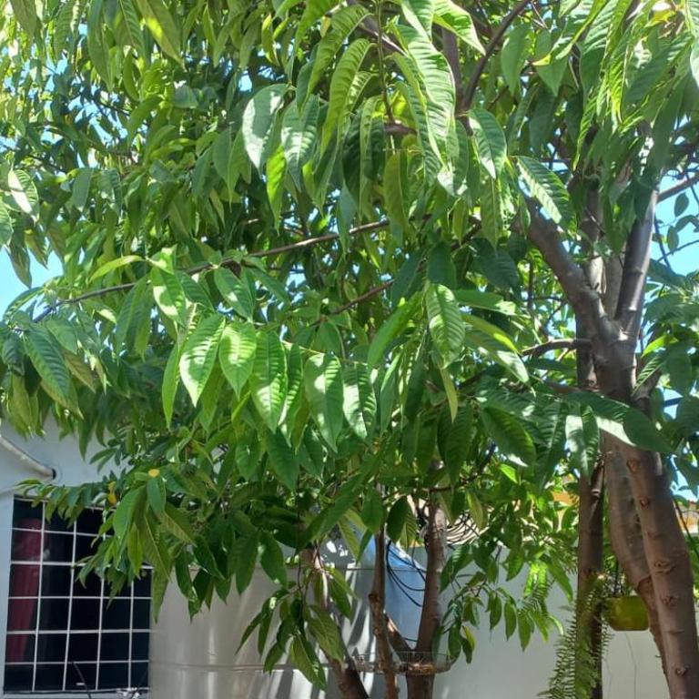 Alojamiento El Abuelo - Casa - 5