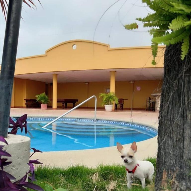 Casa Urbanización San Martino 2 - Apartamento - 14